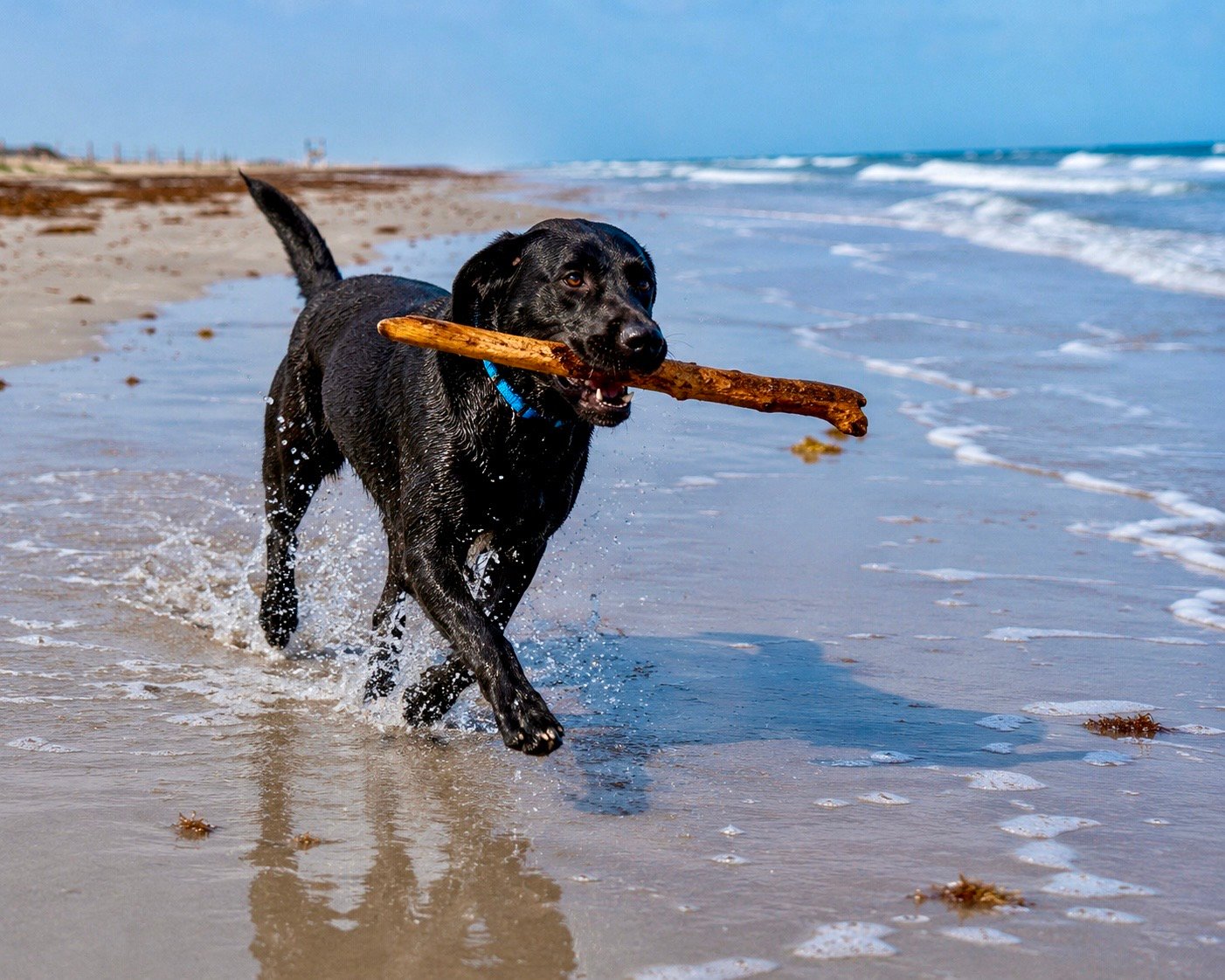 Three Walks with Pipes