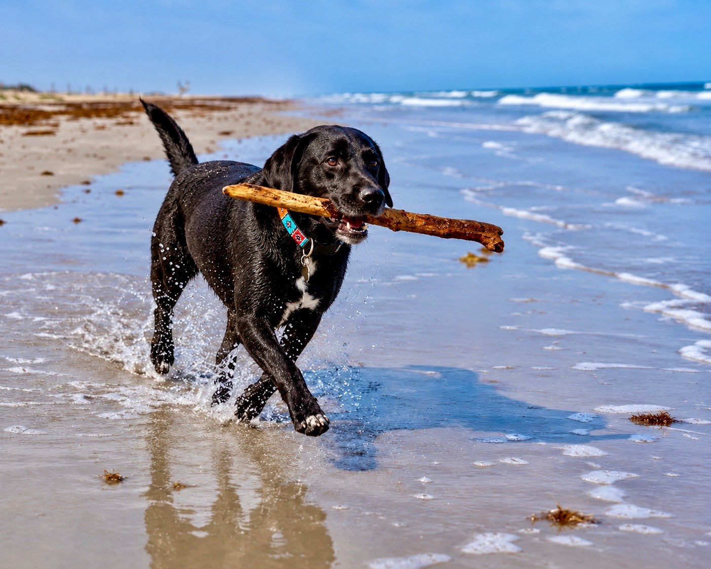 Three Walks with Pipes